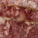 Salchichón Ibérico Bellota