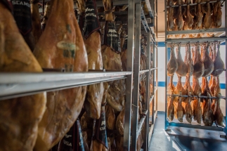 bodega-jamones-museo-jamon-alcorcon01