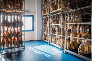 bodega-jamones-museo-jamon-alcorcon02