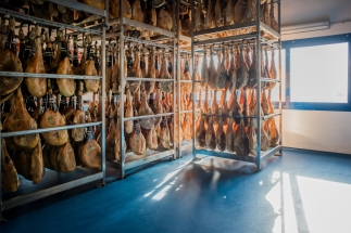 bodega-jamones-museo-jamon-alcorcon03