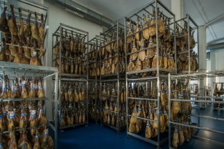 bodega-jamones-museo-jamon-alcorcon06