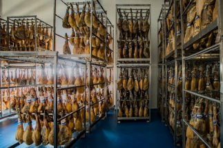 bodega-jamones-museo-jamon-alcorcon09