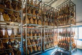 bodega-jamones-museo-jamon-alcorcon10