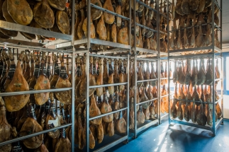 bodega-jamones-museo-jamon-alcorcon11