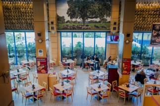 Restaurantes Alcorcón. Restaurantes Parque Oeste Alcorcón. Museo del Jamón